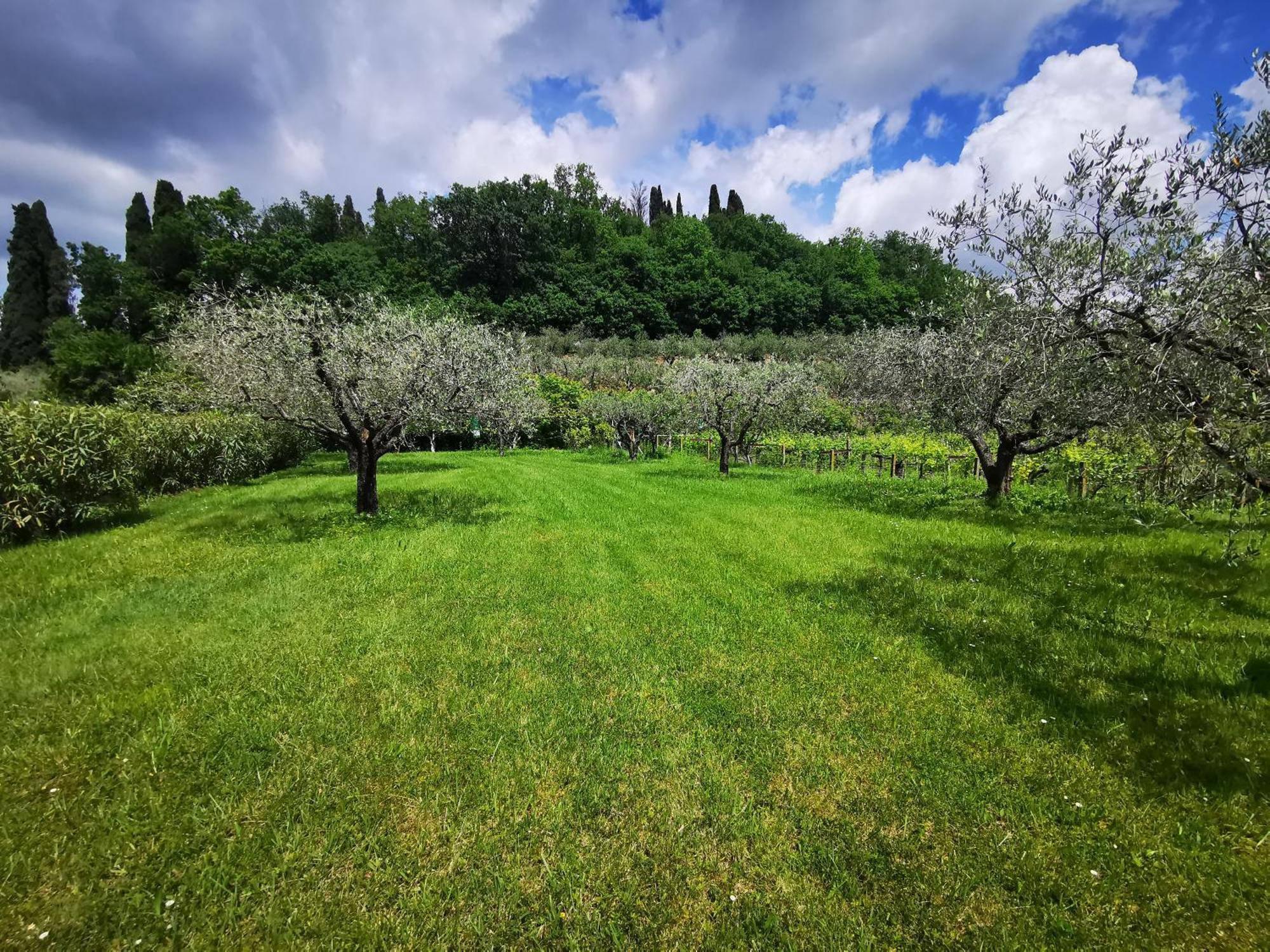 Casa Ghirlanda Con Piscina E Campo Da Tennis Lazise Eksteriør billede